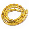 Natural Freshwater Shell Beads SHEL-R047-01G-2