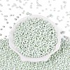 Opaque Glass Seed Beads GLAA-Q119-01-A05-2