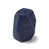 Natural Lapis Lazuli Beads G-T149-01G-1