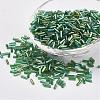 Glass Bugle Beads SEED-E001-9mm-167-1