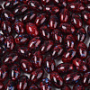 Glass Seed Beads SEED-T009-02D-3