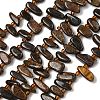 Natural Bronzite Beads Strands G-Z130-A02-01-2