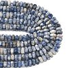 Natural Blue Spot Jasper Beads Strands G-L654-I06-01-5