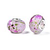 Resin European Beads RPDL-N014-06-07-3