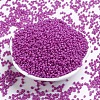 Baking Paint Glass Seed Beads SEED-US0003-2mm-K21-2