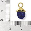 304 Stainless Steel Dyed Natural Lapis Lazuli Pendants STAS-L277-07G-06-3