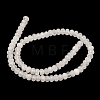 Natural Quartz Crystal Beads Strands G-R186-14-6