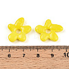 Handmade Lampwork Beads LAMP-N024-38G-3
