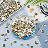 300Pcs Natural Shiva Eye Shell Cabochons SHEL-FH0001-28-4
