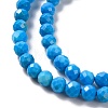 Natural Howlite Beads Strands G-C025-02B-10-4