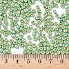 TOHO 6/0 Round Beads SEED-XTR06-PF0560-4