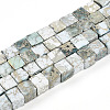 Natural Variscite Beads Strands G-T140-41A-4