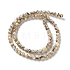 Natural Freshwater Shell Beads Strands X-SSHEL-B002-15-2