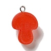 Opaque Resin Pendants X-RESI-G028-33P-3