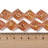 Frosted Handmade Lampwork Beads Strands LAMP-A010-01A-4