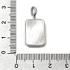 Natural Shell & Clear Cubic Zirconia Pendants KK-G553-11P-3