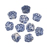 Natural Blue Spot Jasper Carved Cabochons G-I395-A06-1