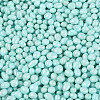 Opaque Glass Seed Beads GLAA-Q119-01-A04-3