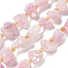 Electroplated Natural Druzy Agate Beads Strands G-G289-02A-2