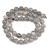 Natural Labradorite Beads Strands G-L654-O02-8mm-5