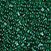 FGB Transparent Glass Seed Beads SEED-N013-01A-06-3