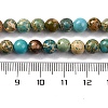 Dyed Natural Regalite/Imperial Jasper/Sea Sediment Jasper Beads Strands G-B124-C02-06-3