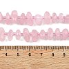 Natural Rose Quartz Beads Strands X-G-F821-B02-01-5