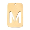 304 Stainless Steel Pendants STAS-D200-01M-G-1