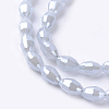 Electroplate Glass Beads Strands EGLA-J013-4X6mm-F04-3