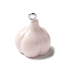 Resin Iron Pendants LS-RESI-D280-08-1