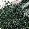 TOHO Round Seed Beads SEED-JPTR15-0373-1