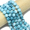 Natural Malaysia Jade Beads Strands G-B165-C09-12mm-1