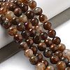 Natural Yellow Tiger Eye Beads Strands G-H238-8mm-5