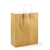 Pure Color Kraft Paper Bags LS-AJEW-G020-D-06-4