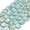 Natural Glass Beads Strands G-Z106-E01-2