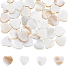 2 Strands Natural Freshwater Shell Beads Strands SHEL-SC0001-85C-1