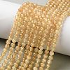 Natural Yellow Garnet Beads Strands G-Z129-C01-5mm-02-1