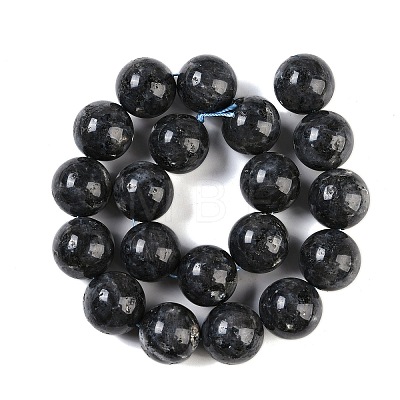 Natural Larvikite Beads Strands G-G118-B02-01-1