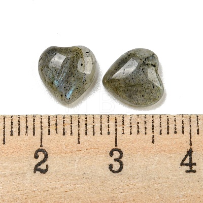 Natural Labradorite Cabochons G-H309-01-07-1