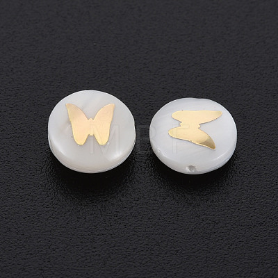 Natural Freshwater Shell Beads SHEL-S278-064-1