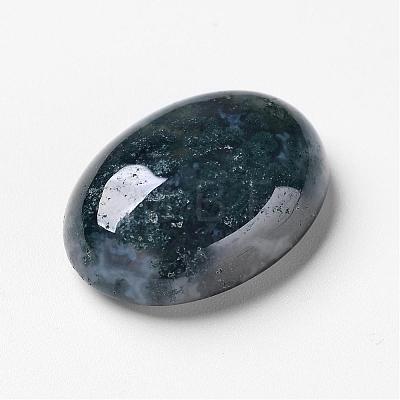 Natural Moss Agate Cabochons G-F296-09-18x25mm-1