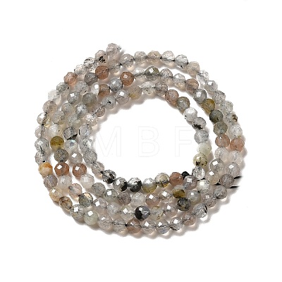 Natural Labradorite Beads Strands G-I341-11-1