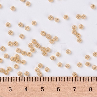 MIYUKI Round Rocailles Beads X-SEED-G008-RR0552-1