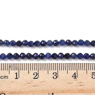 Natural Sodalite Beads Strands G-L622-C04-3mm-1
