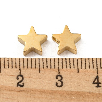 304 Stainless Steel Charms STAS-L022-216G-1