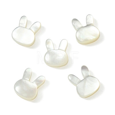 5Pcs Natural White Shell Beads BSHE-CJ0001-06-1