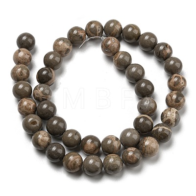 Natural Map Stone/Picasso Stone Beads Strands G-R494-A24-04-1