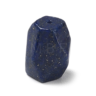 Natural Lapis Lazuli Beads G-T149-01G-1