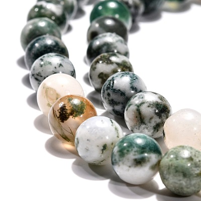 Natural Tree Agate Beads Strands G-H1633-8MM-1