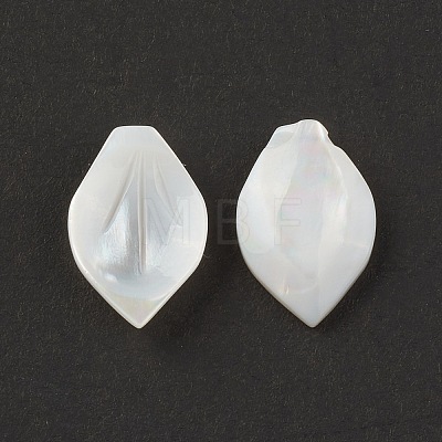 Natural Sea Shell Beads SSHEL-T012-15-1